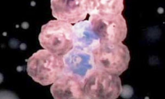 Τα καρκινικά κύτταρα τρέφονται. Με τι.....;