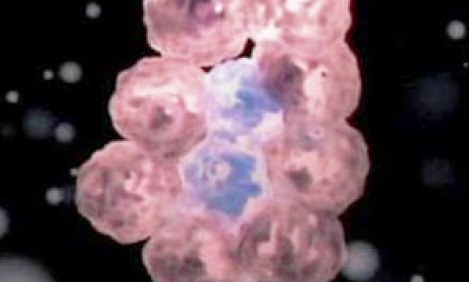 &Tau;&alpha; &kappa;&alpha;&rho;&kappa;&iota;&nu;&iota;&kappa;ά &kappa;ύ&tau;&tau;&alpha;&rho;&alpha; &tau;&rho;έ&phi;&omicron;&nu;&tau;&alpha;&iota;. &Mu;&epsilon; &tau;&iota;.....;