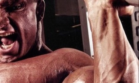 4 &alpha;&sigma;&kappa;ή&sigma;&epsilon;&iota;&sigmaf; ώ&mu;&omega;&nu; &gamma;&iota;&alpha; &pi;&rho;ό&gamma;&rho;&alpha;&mu;&mu;&alpha; ό&gamma;&kappa;&omicron;&upsilon;!