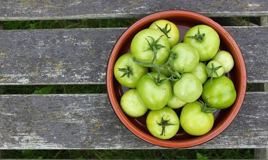 &Pi;&omicron;&iota;&epsilon;&sigmaf; &tau;&rho;&omicron;&phi;έ&sigmaf; &alpha;&nu;&tau;&iota;&sigma;&tau;&rho;έ&phi;&omicron;&upsilon;&nu; &tau;&eta; &gamma;ή&rho;&alpha;&nu;&sigma;&eta; &tau;&omega;&nu; &mu;&upsilon;ώ&nu;;