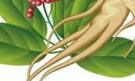 &Tau;&zeta;ί&nu;&sigma;&epsilon;&nu;&gamma;&kappa; &gamma;&iota;&alpha; &tau;&eta;&nu; &sigma;&epsilon;&xi;&omicron;&upsilon;&alpha;&lambda;&iota;&kappa;ή &upsilon;&gamma;&epsilon;ί&alpha; &tau;&omega;&nu; &alpha;&nu;&delta;&rho;ώ&nu;