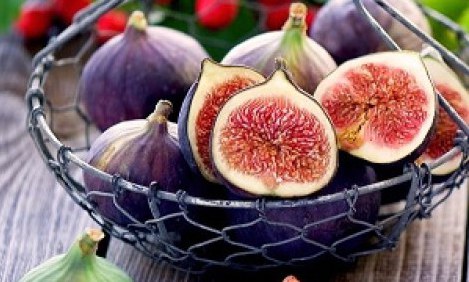 &Tau;&alpha; &kappa;&alpha;&lambda;&omicron;&kappa;&alpha;&iota;&rho;&iota;&nu;ά &phi;&rho;&omicron;ύ&tau;&alpha; &laquo;&pi;&rho;&omicron;&sigma;&tau;ά&tau;&epsilon;&sigmaf;&raquo; &tau;&eta;&sigmaf; &upsilon;&gamma;&epsilon;ί&alpha;&sigmaf;!