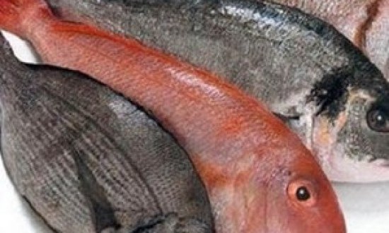 Η κατανάλωση ψαριών προστατεύει την ακοή