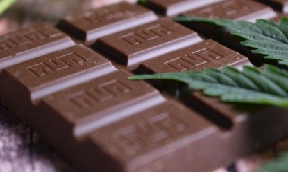 &Sigma;&omicron;&kappa;&omicron;&lambda;ά&tau;&epsilon;&sigmaf; &mu;&epsilon; &sigma;&pi;ό&rho;&omicron;&upsilon;&sigmaf; &kappa;ά&nu;&nu;&alpha;&beta;&eta;&sigmaf;: &Eta; &nu;έ&alpha; &tau;ά&sigma;&eta; &sigma;&tau;&alpha; &gamma;&lambda;&upsilon;&kappa;ά!