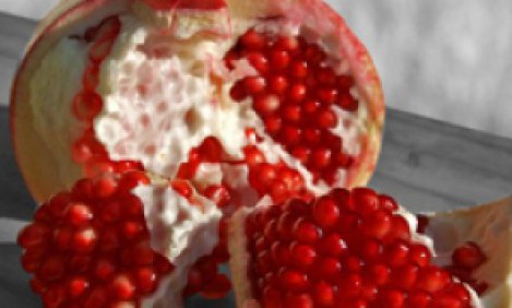 To &rho;ό&delta;&iota; &kappa;&alpha;&iota; &omicron;&iota; &iota;&delta;&iota;ό&tau;&eta;&tau;έ&sigmaf; &tau;&omicron;&upsilon;