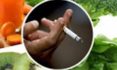 &Tau;&alpha; &tau;&rho;ό&phi;&iota;&mu;&alpha; &pi;&omicron;&upsilon; &kappa;&alpha;&theta;&alpha;&rho;ί&zeta;&omicron;&upsilon;&nu; &tau;&omicron;&nu; &omicron;&rho;&gamma;&alpha;&nu;&iota;&sigma;&mu;ό &alpha;&pi;ό &tau;&eta; &nu;&iota;&kappa;&omicron;&tau;ί&nu;&eta;