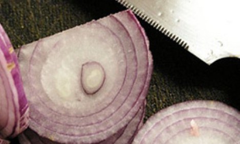 &Eta; &delta;&iota;&alpha;&tau;&rho;&omicron;&phi;&iota;&kappa;ή &alpha;&xi;ί&alpha; &tau;&omicron;&upsilon; &kappa;&rho;&epsilon;&mu;&mu;&upsilon;&delta;&iota;&omicron;ύ