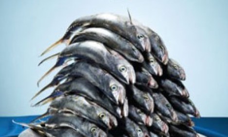 &Tau;&Omicron; &Mu;&Iota;&Kappa;&Rho;&Omicron; &Psi;&Alpha;&Rho;&Iota; &Tau;&Rho;&Omega;&Epsilon;&Iota; &Tau;&Omicron; &Mu;&Epsilon;&Gamma;&Alpha;&Lambda;&Omicron; + 4 &Sigma;&upsilon;&nu;&tau;&alpha;&gamma;έ&sigmaf;