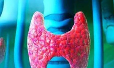 &Theta;&upsilon;&rho;&epsilon;&omicron;&epsilon;&iota;&delta;ή&sigmaf;: &omicron; &rho;&upsilon;&theta;&mu;&iota;&sigma;&tau;ή&sigmaf; &tau;&omicron;&upsilon; &mu;&epsilon;&tau;&alpha;&beta;&omicron;&lambda;&iota;&sigma;&mu;&omicron;ύ