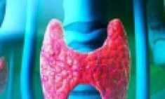 &Theta;&upsilon;&rho;&epsilon;&omicron;&epsilon;&iota;&delta;ή&sigmaf;: &omicron; &rho;&upsilon;&theta;&mu;&iota;&sigma;&tau;ή&sigmaf; &tau;&omicron;&upsilon; &mu;&epsilon;&tau;&alpha;&beta;&omicron;&lambda;&iota;&sigma;&mu;&omicron;ύ