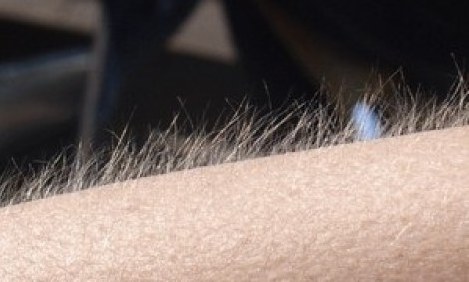 &Tau;&omicron; &xi;έ&rho;&alpha;&tau;&epsilon;; &Gamma;&iota;&alpha;&tau;ί &alpha;&nu;&alpha;&tau;&rho;&iota;&chi;&iota;ά&zeta;&omicron;&upsilon;&mu;&epsilon; ό&tau;&alpha;&nu; &alpha;&kappa;&omicron;ύ&mu;&epsilon; &tau;&omicron; &alpha;&gamma;&alpha;&pi;&eta;&mu;έ&nu;&omicron; &mu;&alpha;&sigmaf; &tau;&rho;&alpha;&gamma;&omicron;ύ&delta;&iota;