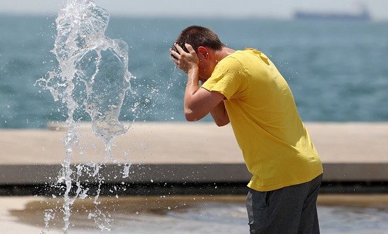 &Nu;&iota;&kappa;ή&sigma;&tau;&epsilon; &tau;&omicron;&nu; &kappa;&alpha;ύ&sigma;&omega;&nu;&alpha; &ndash; &Omicron;&iota; &kappa;&alpha;&lambda;ύ&tau;&epsilon;&rho;&epsilon;&sigmaf; &sigma;&upsilon;&mu;&beta;&omicron;&upsilon;&lambda;έ&sigmaf; &gamma;&iota;&alpha; &nu;&alpha; &pi;&alpha;&rho;&alpha;&mu;&epsilon;ί&nu;&epsilon;&tau;&epsilon; &delta;&rho;&omicron;&sigma;&epsilon;&rho;&omicron;ί