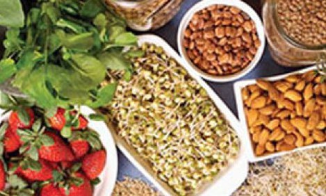 &Delta;ί&alpha;&iota;&tau;&alpha; &chi;&omega;&rho;ί&sigmaf; &gamma;&lambda;&omicron;&upsilon;&tau;έ&nu;&eta;: &Eta; &nu;έ&alpha; &tau;ά&sigma;&eta; &sigma;&tau;&omicron; &alpha;&delta;&upsilon;&nu;ά&tau;&iota;&sigma;&mu;&alpha;