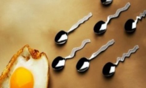 15 &tau;&rho;&omicron;&phi;έ&sigmaf; &gamma;&iota;&alpha; &kappa;&alpha;&lambda;ό &sigma;&epsilon;&xi;