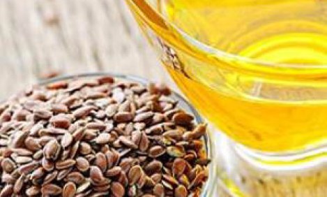 &Omicron; &rho;ό&lambda;&omicron;&sigmaf; &tau;&omega;&nu; &alpha;&pi;&alpha;&rho;&alpha;ί&tau;&eta;&tau;&omega;&nu; &lambda;&iota;&pi;&alpha;&rho;ώ&nu; &sigma;&tau;&omicron; Bodybuilding