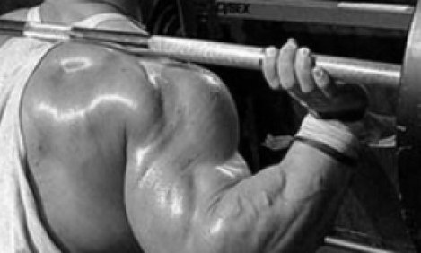 &Mu;&upsilon;&iota;&kappa;ή &iota;&sigma;&omicron;&rho;&rho;&omicron;&pi;ί&alpha;: &Theta;&epsilon;&sigmaf; &mu;&epsilon;&gamma;&alpha;&lambda;ύ&tau;&epsilon;&rho;&alpha; &mu;&pi;&rho;ά&tau;&sigma;&alpha;; Squat!