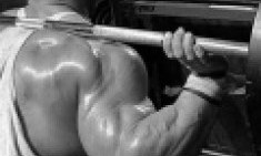 &Mu;&upsilon;&iota;&kappa;ή &iota;&sigma;&omicron;&rho;&rho;&omicron;&pi;ί&alpha;: &Theta;&epsilon;&sigmaf; &mu;&epsilon;&gamma;&alpha;&lambda;ύ&tau;&epsilon;&rho;&alpha; &mu;&pi;&rho;ά&tau;&sigma;&alpha;; Squat!