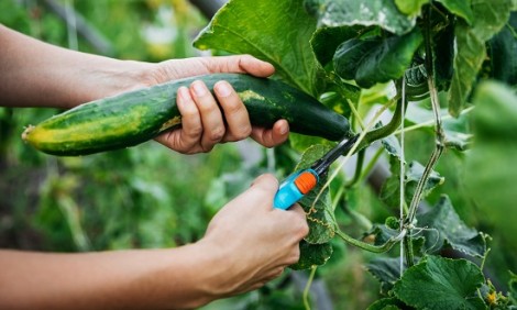 &Pi;ό&sigma;&omicron; &epsilon;ί&nu;&alpha;&iota; &tau;&epsilon;&lambda;&iota;&kappa;ά &tau;&omicron; &mu;έ&gamma;&epsilon;&theta;&omicron;&sigmaf; &epsilon;&nu;ό&sigmaf; &kappa;&alpha;&nu;&omicron;&nu;&iota;&kappa;&omicron;ύ &pi;έ&omicron;&upsilon;&sigmaf;