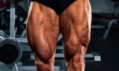 17 &lambda;&epsilon;&pi;&tau;ά &tau;&epsilon;&tau;&rho;&alpha;&kappa;έ&phi;&alpha;&lambda;&omicron;&iota;