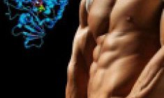 &Pi;&omega;&sigmaf; &epsilon;&pi;&iota;&tau;&upsilon;&gamma;&chi;ά&nu;&epsilon;&tau;&alpha;&iota; &eta; &mu;έ&gamma;&iota;&sigma;&tau;&eta; &pi;&rho;&omega;&tau;&epsilon;ϊ&nu;&omicron;&sigma;ύ&nu;&theta;&epsilon;&sigma;&eta;;