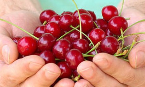 6 &tau;&rho;&omicron;&phi;έ&sigmaf; &pi;&omicron;&upsilon; &omega;&phi;&epsilon;&lambda;&omicron;ύ&nu; &tau;&eta;&nu; &upsilon;&gamma;&epsilon;ί&alpha; &tau;&omicron;&upsilon; ά&nu;&tau;&rho;&alpha;...