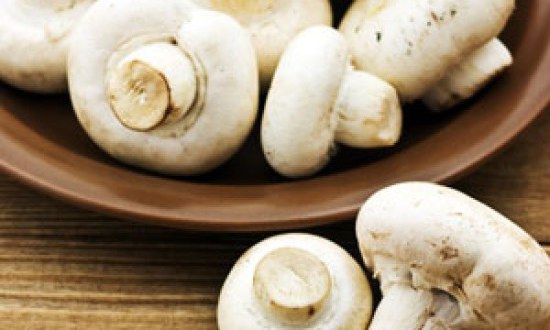 Μανιτάρι μαγικό-Λιποδιαλυτική δύναμη και μυϊκή οικοδόμηση !!!