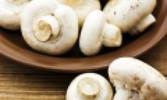 &Mu;&alpha;&nu;&iota;&tau;ά&rho;&iota; &mu;&alpha;&gamma;&iota;&kappa;ό-&Lambda;&iota;&pi;&omicron;&delta;&iota;&alpha;&lambda;&upsilon;&tau;&iota;&kappa;ή &delta;ύ&nu;&alpha;&mu;&eta; &kappa;&alpha;&iota; &mu;&upsilon;ϊ&kappa;ή &omicron;&iota;&kappa;&omicron;&delta;ό&mu;&eta;&sigma;&eta; !!!