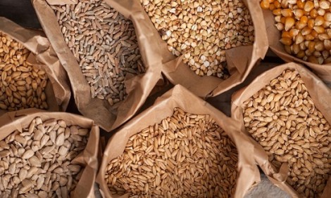 Οι σπόροι που χαρίζουν ενέργεια, πρωτεΐνες και πολλές φυτικές ίνες