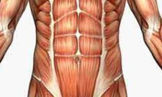 &Alpha;&nu;&alpha;&lambda;&omicron;&gamma;ί&alpha; &Delta;ύ&nu;&alpha;&mu;&eta;&sigmaf; &Alpha;&gamma;&omega;&nu;&iota;&sigma;&tau;ώ&nu; &ndash; &Alpha;&nu;&tau;&alpha;&gamma;&omega;&nu;&iota;&sigma;&tau;ώ&nu; &Mu;&upsilon;ώ&nu; / &Gamma;&rho;ά&phi;&epsilon;&iota; &omicron; &Kappa;. &Tau;&rho;&omicron;&mu;ά&rho;&alpha;&sigmaf;