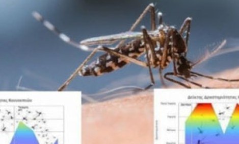 &Pi;&omicron;&iota;&alpha; ώ&rho;&alpha; &tau;&eta;&sigmaf; &eta;&mu;έ&rho;&alpha;&sigmaf; &mu;&alpha;&zeta;&epsilon;ύ&omicron;&nu;&tau;&alpha;&iota; &tau;&alpha; &kappa;&omicron;&upsilon;&nu;&omicron;ύ&pi;&iota;&alpha; &sigma;&tau;&eta;&nu; &pi;&epsilon;&rho;&iota;&omicron;&chi;ή &sigma;&alpha;&sigmaf;!