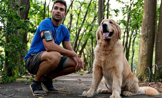 &Pi;ώ&sigmaf; &omicron; &sigma;&kappa;ύ&lambda;&omicron;&sigmaf; &sigma;&omicron;&upsilon; &theta;&alpha; &sigma;&epsilon; &beta;&omicron;&eta;&theta;ή&sigma;&epsilon;&iota; &nu;&alpha; &gamma;ί&nu;&epsilon;&iota;&sigmaf; fit