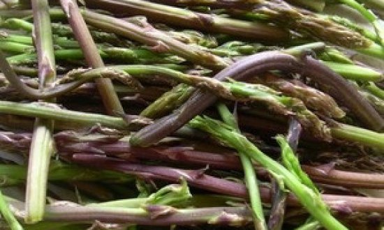 Οι "μαγικές" ιδιότητες του σπαραγγιού