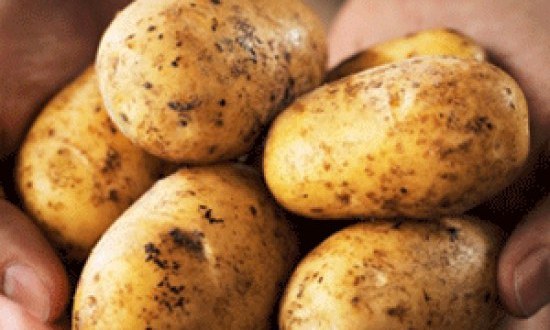 &Pi;&omicron;&iota;&omicron;&sigmaf; &upsilon;&delta;&alpha;&tau;ά&nu;&theta;&rho;&alpha;&kappa;&alpha;&sigmaf; &epsilon;ί&nu;&alpha;&iota; &pi;&iota;&omicron; ''&epsilon;&pi;&iota;&kappa;ί&nu;&delta;&upsilon;&nu;&omicron;&sigmaf;''; &Tau;&omicron; &rho;ύ&zeta;&iota; ή &eta; &pi;&alpha;&tau;ά&tau;&alpha;;!