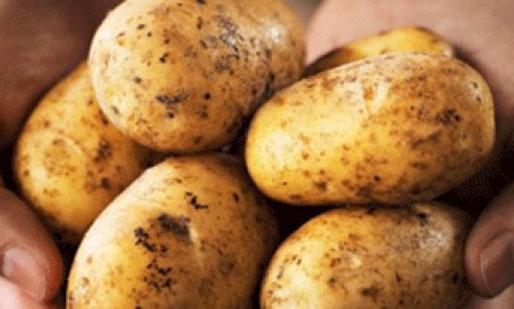 &Pi;&omicron;&iota;&omicron;&sigmaf; &upsilon;&delta;&alpha;&tau;ά&nu;&theta;&rho;&alpha;&kappa;&alpha;&sigmaf; &epsilon;ί&nu;&alpha;&iota; &pi;&iota;&omicron; ''&epsilon;&pi;&iota;&kappa;ί&nu;&delta;&upsilon;&nu;&omicron;&sigmaf;''; &Tau;&omicron; &rho;ύ&zeta;&iota; ή &eta; &pi;&alpha;&tau;ά&tau;&alpha;;!