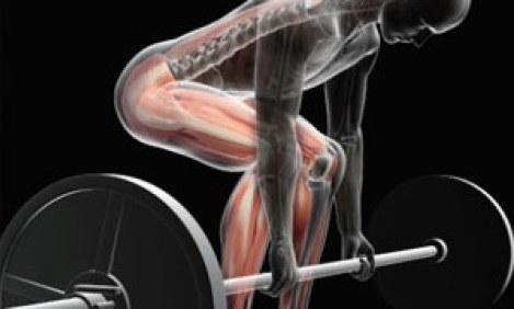 Kά&nu;&epsilon;&iota;&sigmaf; Ά&rho;&sigma;&epsilon;&iota;&sigmaf; &theta;&alpha;&nu;ά&tau;&omicron;&upsilon; &sigma;&omega;&sigma;&tau;ά;