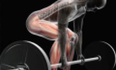 Kά&nu;&epsilon;&iota;&sigmaf; Ά&rho;&sigma;&epsilon;&iota;&sigmaf; &theta;&alpha;&nu;ά&tau;&omicron;&upsilon; &sigma;&omega;&sigma;&tau;ά;