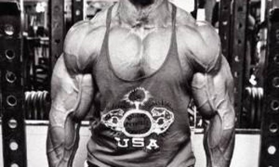 ΓΡΗΓΟΡΕΣ ΑΡΣΕΙΣ ΘΑΝΑΤΟΥ ΜΕ ΑΛΥΣΙ∆ΕΣ