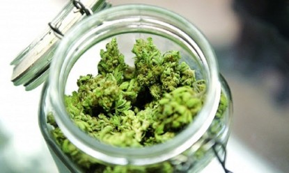 &Eta; &iota;&alpha;&tau;&rho;&iota;&kappa;ή &kappa;ά&nu;&nu;&alpha;&beta;&eta; &epsilon;ί&nu;&alpha;&iota; &theta;&epsilon;&rho;&alpha;&pi;&epsilon;&upsilon;&tau;&iota;&kappa;ή &gamma;&iota;&alpha; &tau;&eta;&nu; &pi;&omicron;&lambda;&lambda;&alpha;&pi;&lambda;ή &sigma;&kappa;&lambda;ή&rho;&upsilon;&nu;&sigma;&eta;