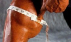 &Mu;&epsilon;&gamma;&alpha;&lambda;ώ&sigma;&tau;&epsilon; &tau;&iota;&sigmaf; &Gamma;ά&mu;&pi;&epsilon;&sigmaf; &sigma;&alpha;&sigmaf; &mu;&epsilon; &alpha;&upsilon;&tau;έ&sigmaf; &tau;&iota;&sigmaf; 8 &Sigma;&upsilon;&mu;&beta;&omicron;&upsilon;&lambda;έ&sigmaf;