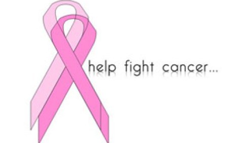 15 &phi;&upsilon;&sigma;&iota;&kappa;έ&sigmaf; &alpha;&sigma;&pi;ί&delta;&epsilon;&sigmaf; &kappa;&alpha;&tau;ά &tau;&omicron;&upsilon; &kappa;&alpha;&rho;&kappa;ί&nu;&omicron;&upsilon;