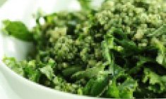 &Sigma;&pi;&iota;&rho;&omicron;&upsilon;&lambda;ί&nu;&alpha; : &eta; &pi;&lambda;&omicron;&upsilon;&sigma;&iota;ό&tau;&epsilon;&rho;&eta; &laquo;&pi;&rho;ά&sigma;&iota;&nu;&eta; &tau;&rho;&omicron;&phi;ή&raquo; &sigma;&epsilon; &pi;&rho;&omega;&tau;&epsilon;ΐ&nu;&eta; - &Pi;ώ&sigmaf; &theta;&alpha; &tau;&eta;&nu; &epsilon;&nu;&tau;ά&xi;&epsilon;&tau;&epsilon; &sigma;&tau;&eta; &delta;&iota;&alpha;&tau;&rho;&omicron;&phi;ή &sigma;&alpha;&sigmaf; (&sigma;&upsilon;&nu;&tau;&alpha;&gamma;έ&sigmaf;) !!!