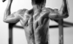 Έ&lambda;&xi;&epsilon;&iota;&sigmaf; &sigma;&epsilon; &mu;&omicron;&nu;ό&zeta;&upsilon;&gamma;&omicron; ... &omicron; &beta;&alpha;&sigma;&iota;&lambda;&iota;ά&sigmaf; &tau;&omega;&nu; &alpha;&sigma;&kappa;ή&sigma;&epsilon;&omega;&nu; &pi;&lambda;ά&tau;&eta;&sigmaf; !!!