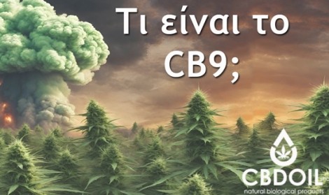 CB9 &tau;&iota; &epsilon;ί&nu;&alpha;&iota;; &Pi;&omicron;&iota;&epsilon;&sigmaf; &epsilon;ί&nu;&alpha;&iota; &omicron;&iota; &iota;&delta;&iota;ό&tau;&eta;&tau;&epsilon;&sigmaf; &tau;&omicron;&upsilon;;