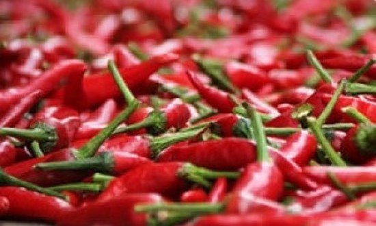 6 &laquo;&theta;&alpha;&upsilon;&mu;&alpha;&tau;&omicron;&upsilon;&rho;&gamma;έ&sigmaf;&raquo; &tau;&rho;&omicron;&phi;έ&sigmaf; &pi;&omicron;&upsilon; &kappa;&alpha;ί&nu;&epsilon; &tau;&omicron; &lambda;ί&pi;&omicron;&sigmaf;