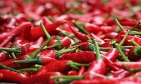 6 &laquo;&theta;&alpha;&upsilon;&mu;&alpha;&tau;&omicron;&upsilon;&rho;&gamma;έ&sigmaf;&raquo; &tau;&rho;&omicron;&phi;έ&sigmaf; &pi;&omicron;&upsilon; &kappa;&alpha;ί&nu;&epsilon; &tau;&omicron; &lambda;ί&pi;&omicron;&sigmaf;