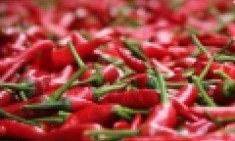 6 &laquo;&theta;&alpha;&upsilon;&mu;&alpha;&tau;&omicron;&upsilon;&rho;&gamma;έ&sigmaf;&raquo; &tau;&rho;&omicron;&phi;έ&sigmaf; &pi;&omicron;&upsilon; &kappa;&alpha;ί&nu;&epsilon; &tau;&omicron; &lambda;ί&pi;&omicron;&sigmaf;