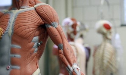 5 &epsilon;&rho;&omega;&tau;ή&mu;&alpha;&tau;&alpha; &gamma;&iota;&alpha; &tau;&omicron; &alpha;&nu;&theta;&rho;ώ&pi;&iota;&nu;&omicron; &sigma;ώ&mu;&alpha; &pi;&omicron;&upsilon; &delta;&epsilon;&nu; έ&chi;&omicron;&upsilon;&nu; &alpha;&pi;&alpha;&nu;&tau;&eta;&theta;&epsilon;ί