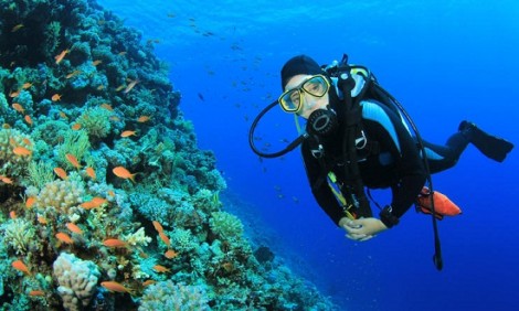 &Kappa;&alpha;&tau;&alpha;&delta;&upsilon;&tau;&iota;&kappa;ό&sigmaf; &tau;&omicron;&upsilon;&rho;&iota;&sigma;&mu;ό&sigmaf;: 25 &epsilon;&kappa;&alpha;&tau;. &tau;&omicron;&upsilon;&rho;ί&sigma;&tau;&epsilon;&sigmaf; έ&lambda;&kappa;&omicron;&nu;&tau;&alpha;&iota; &alpha;&pi;ό &tau;&omicron; &mu;&alpha;&gamma;&epsilon;&upsilon;&tau;&iota;&kappa;ό &beta;&upsilon;&theta;ό &tau;&eta;&sigmaf; &theta;ά&lambda;&alpha;&sigma;&sigma;&alpha;&sigmaf;