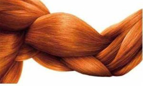 &Omicron;&iota; &alpha;&sigma;&kappa;ή&sigma;&epsilon;&iota;&sigmaf; &alpha;&upsilon;&xi;ά&nu;&omicron;&upsilon;&nu; &tau;&iota;&sigmaf; &alpha;&nu;&delta;&rho;&omicron;&gamma;ό&nu;&epsilon;&sigmaf; &omicron;&rho;&mu;ό&nu;&epsilon;&sigmaf; &sigma;&tau;&omicron;&upsilon;&sigmaf; &mu;ύ&epsilon;&sigmaf;