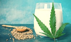 Ό&lambda;&alpha; ό&sigma;&alpha; &pi;&rho;έ&pi;&epsilon;&iota; &nu;&alpha; &gamma;&nu;&omega;&rho;ί&zeta;&epsilon;&tau;&epsilon; &gamma;&iota;&alpha; &tau;&omicron; &gamma;ά&lambda;&alpha; &kappa;ά&nu;&nu;&alpha;&beta;&eta;&sigmaf;!